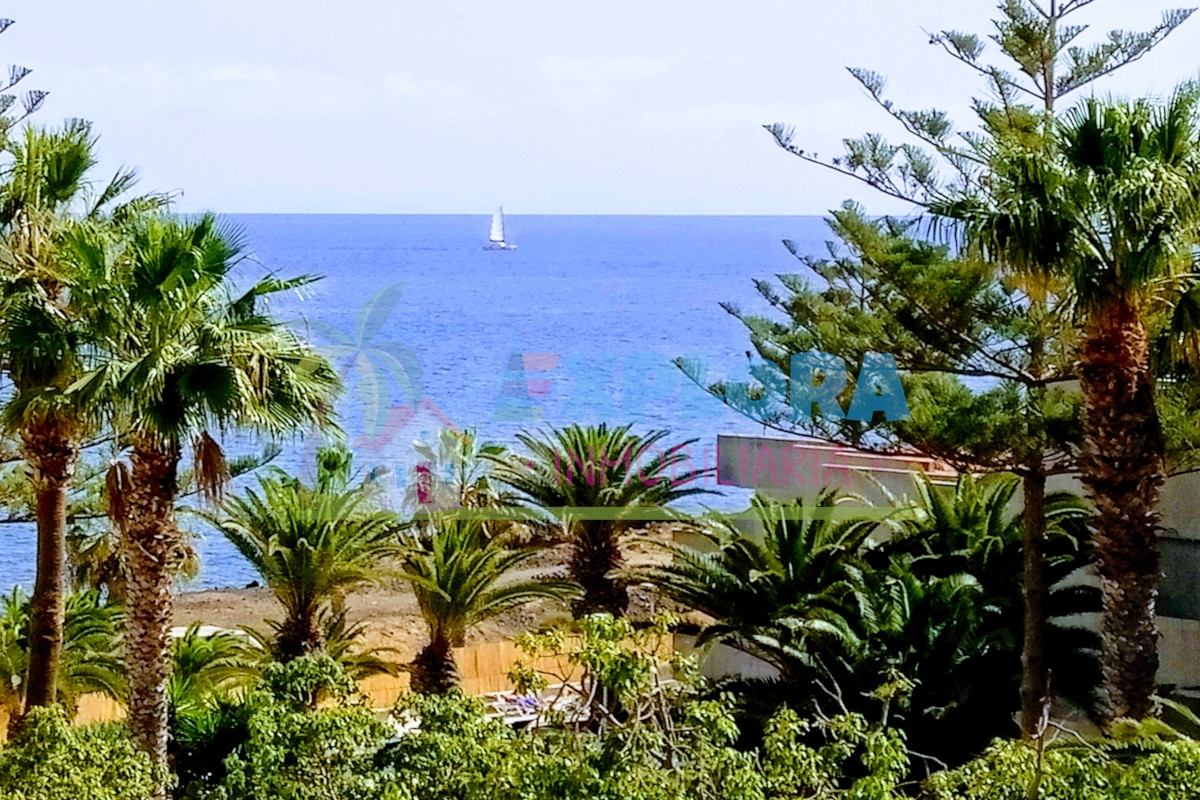 Appartamento in affitto - Alborada