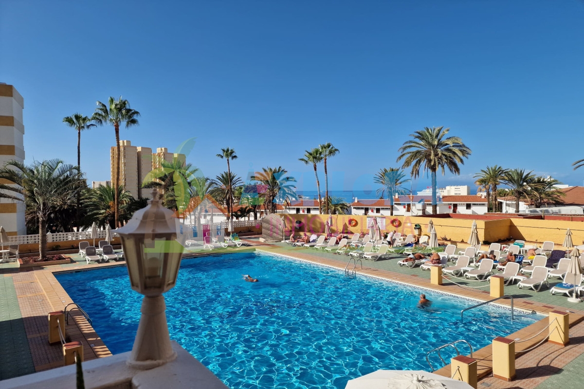 Appartamento in affito -  El Caribe