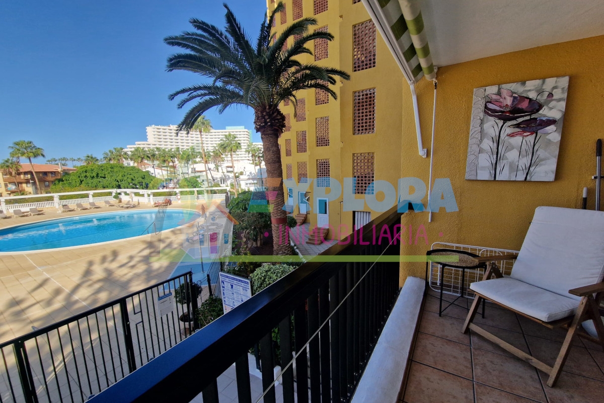 Appartamento in affito -  Copacabana