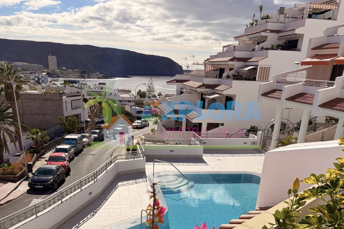 Appartamento in affito -  Eucaliptus