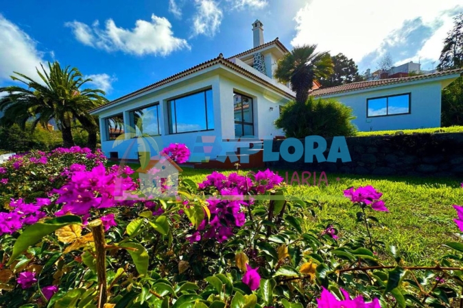 Dragon Tree Villa Affitti