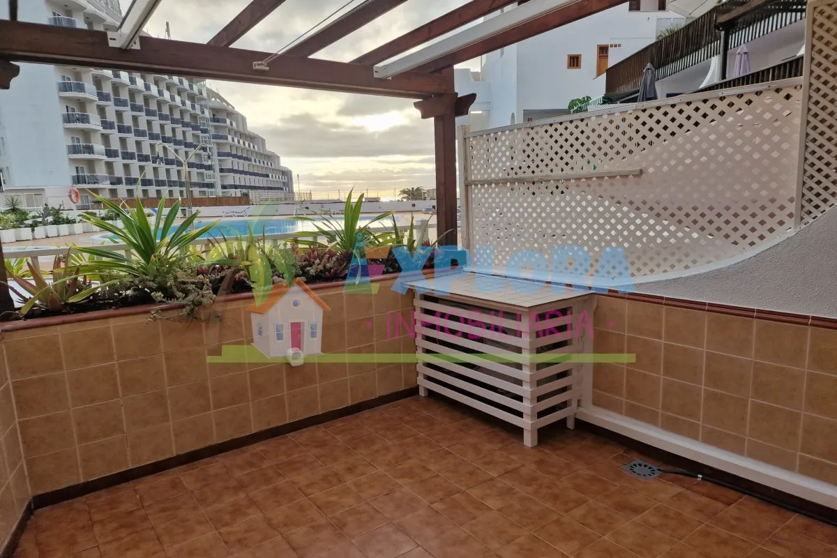 Appartamento in affitto - Parque Royal 1